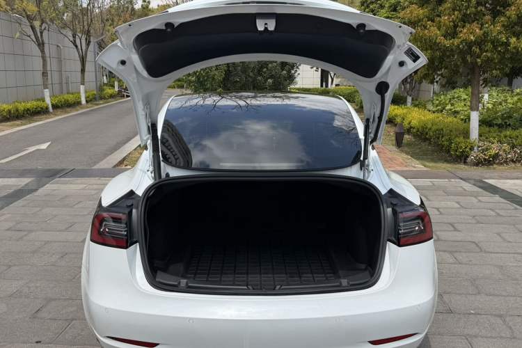 Used Tesla Model 3 2021 Standard Range Rear-Wheel Drive Upgraded Version 3D6
