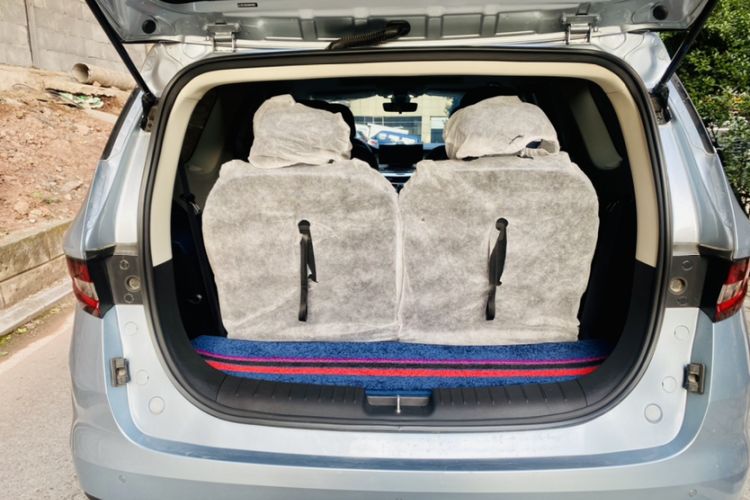 Used Livan Maple 80v PRO 2022 Comfort Edition Standard Range Version