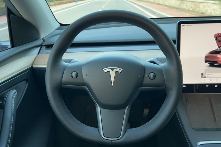 Used Tesla Model Y 2021 Long-Range All-Wheel-Drive Version 3D7