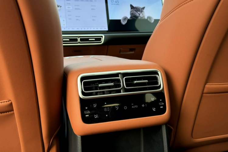 Used Li Auto L6 2024 Pro Model Interior 12