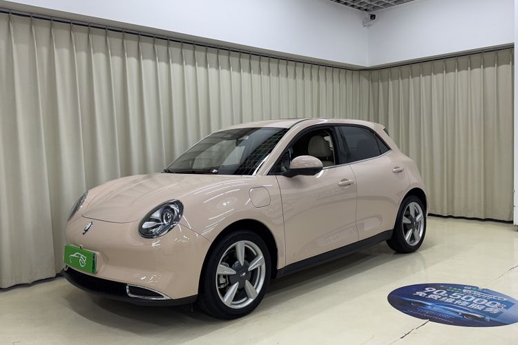 Used ORA Good Cat 2021 400km Standard Range Venus Edition Lithium-Ion Battery