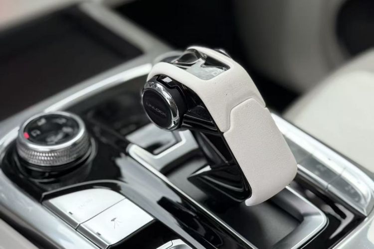 Used Cyberspace Tank 300 2021 2.0T Cyber Tank
