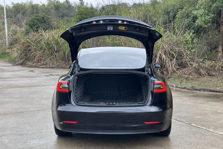 Used Tesla Model 3 2021 Standard Range Rear-Wheel Drive Upgraded Version 3D6
