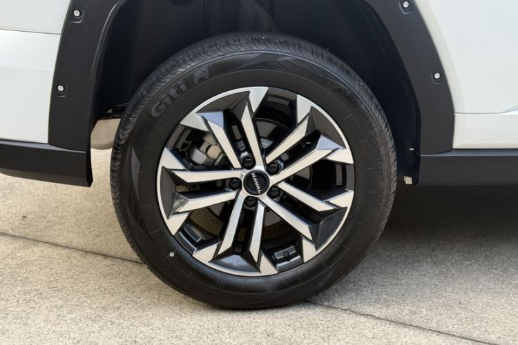 Used Haval H Dog 2023 2.0T All-Wheel-Drive Chaoye Plus
