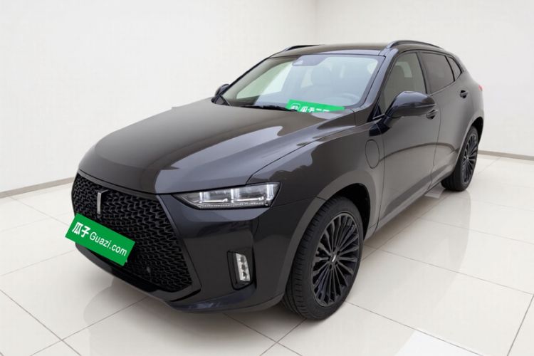 Used Wey P8 2018 2.0T Flagship Model
