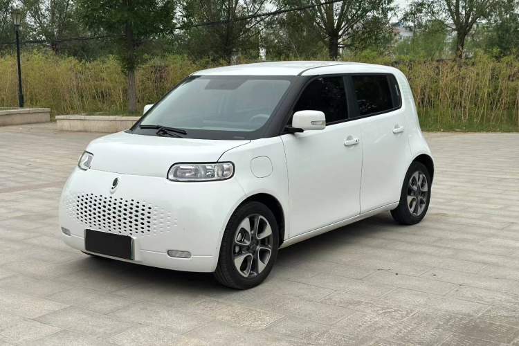 Used ORA White Cat 2020 360 km Luxury Version