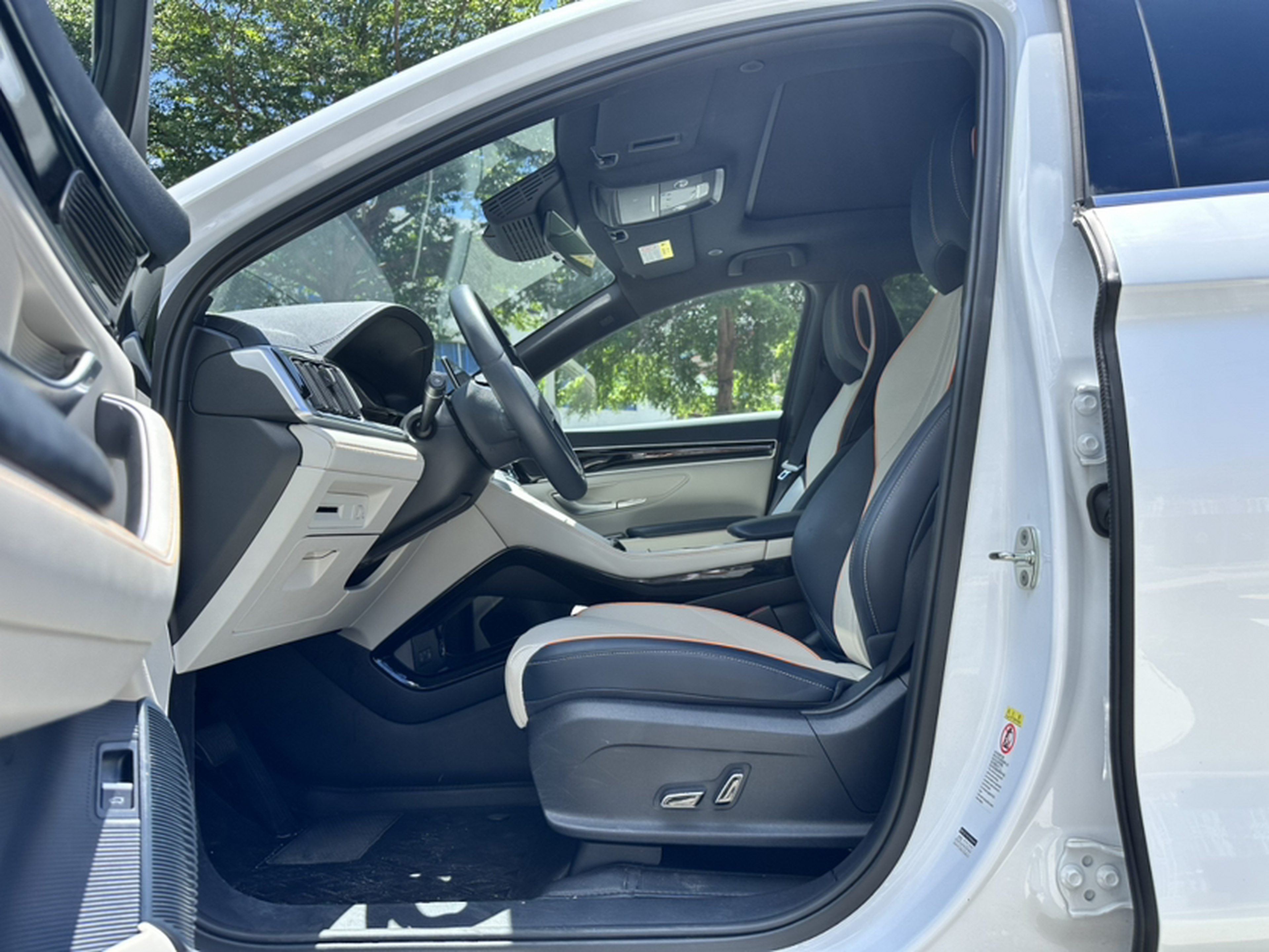 Interior delantero