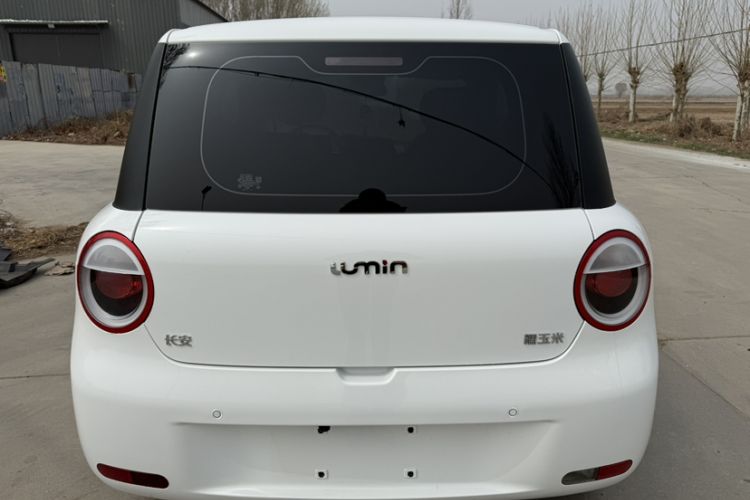 Used CHANGAN NEVO Lumin 2025 301km Honey Dew Edition