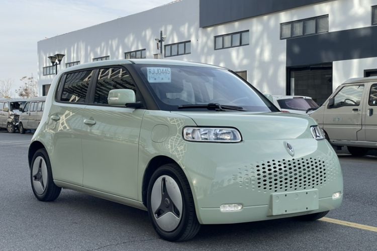 Used ORA White Cat 2020 360 km Luxury Version Exterior 7