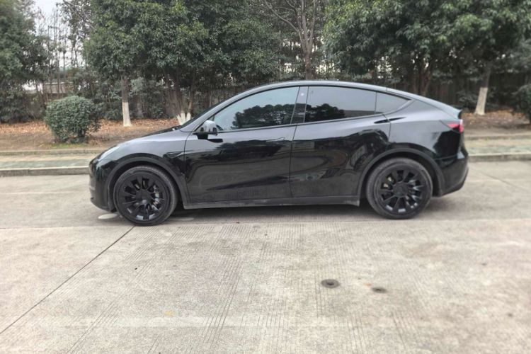 Used Tesla Model Y 2021 Standard Range Rear-Wheel Drive Version
