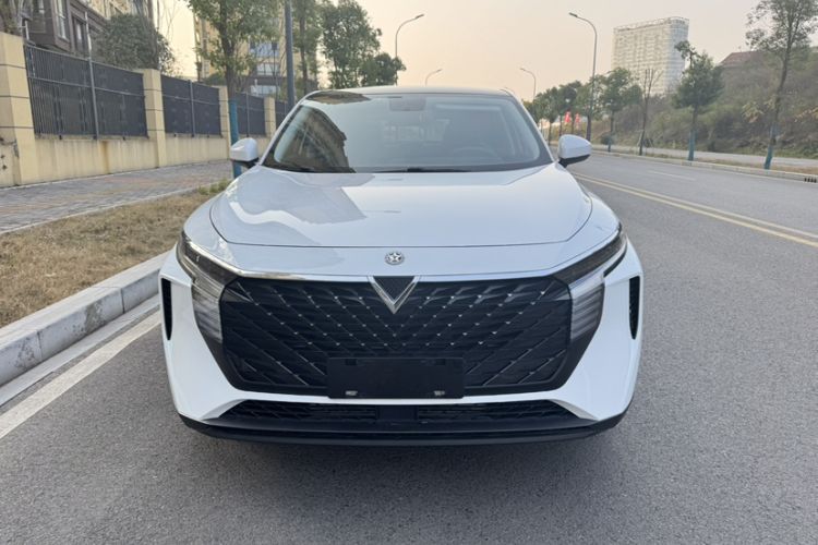 Used Venucia V 2022 260T Custom Edition · Idol
