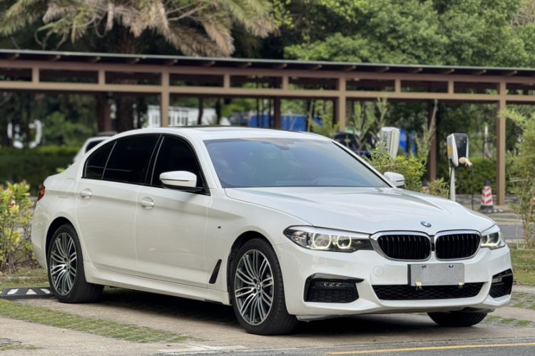 Used BMW 5 Series 2019 530Li Leading Model M Sport Package Exterior 1