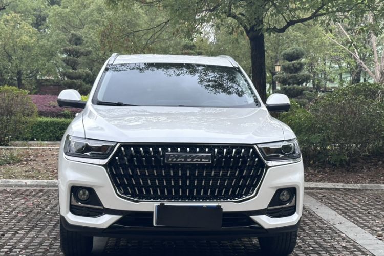 Used Haval H6 2023 National Trend Edition 1.5T Automatic Urban Version
