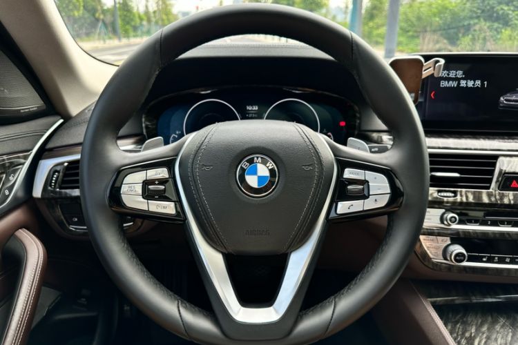 Used BMW 5 Series 2019 Facelifted 530Li Leading Edition Luxury Package