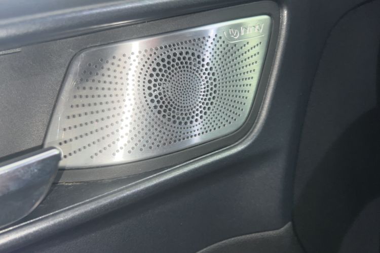 Used Tank 300 2021 Off-Road Edition 2.0T Conqueror Audio And AC Panel