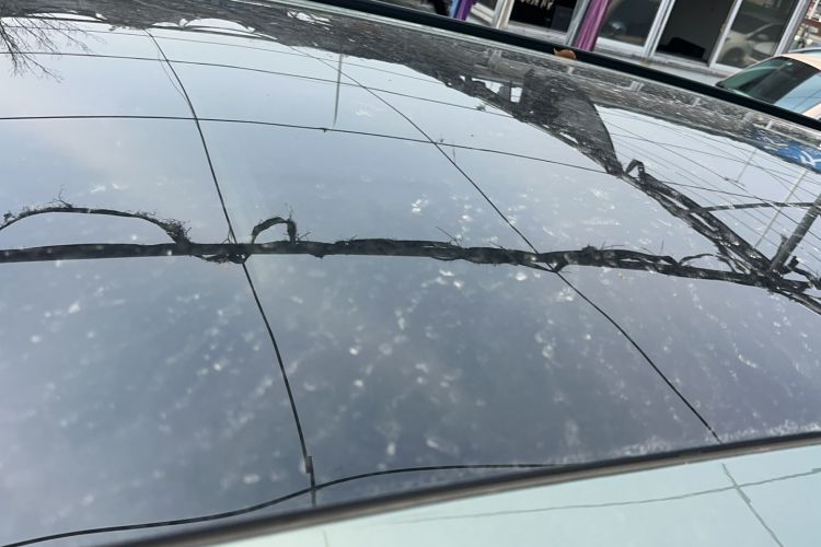 Used Wey Lanshan 2025 Four-Wheel Drive Ultra Roof