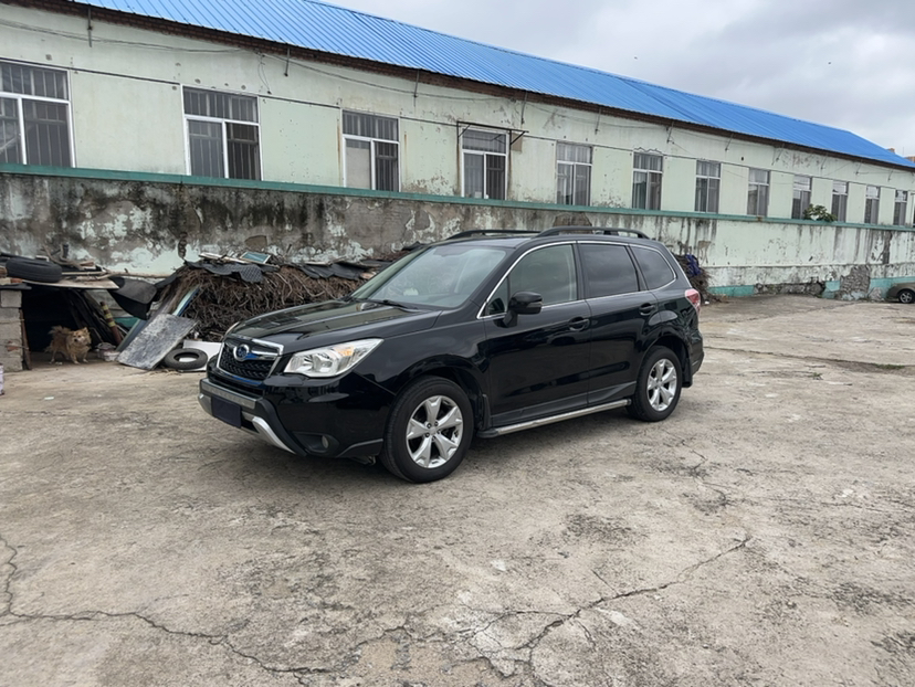 Under Front Bumper