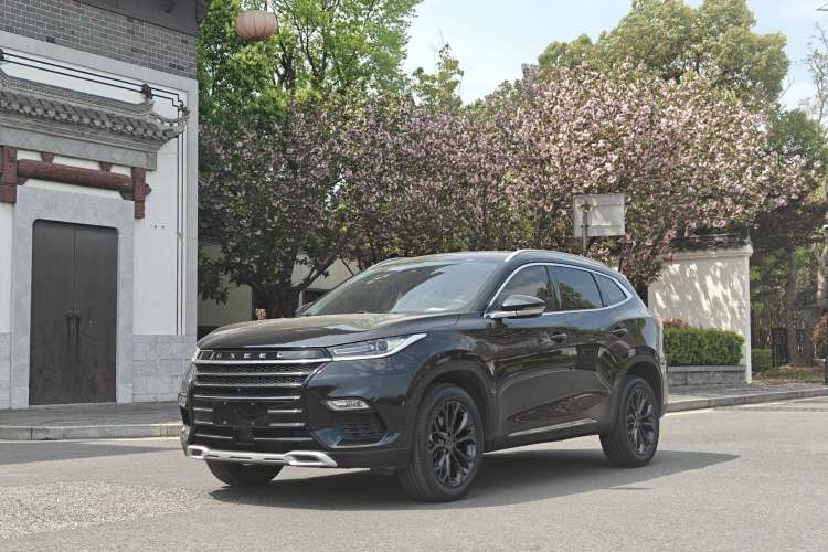 Used EXEED TX 2020 1.6T Two-Wheel Drive Star Edition
