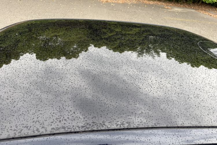 Used BMW 5 Series 2024 530Li Leading Model M Sport Package Roof