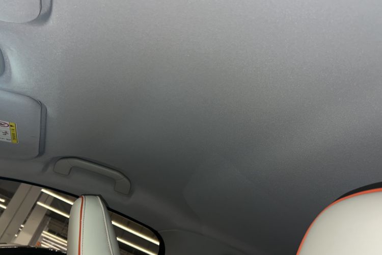 Used Chery Little Ant 2024 Facelifted 321km Beloved Edition Headliner