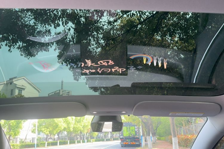 Used Tesla Model 3 2023 Rear-Wheel-Drive Version Headliner