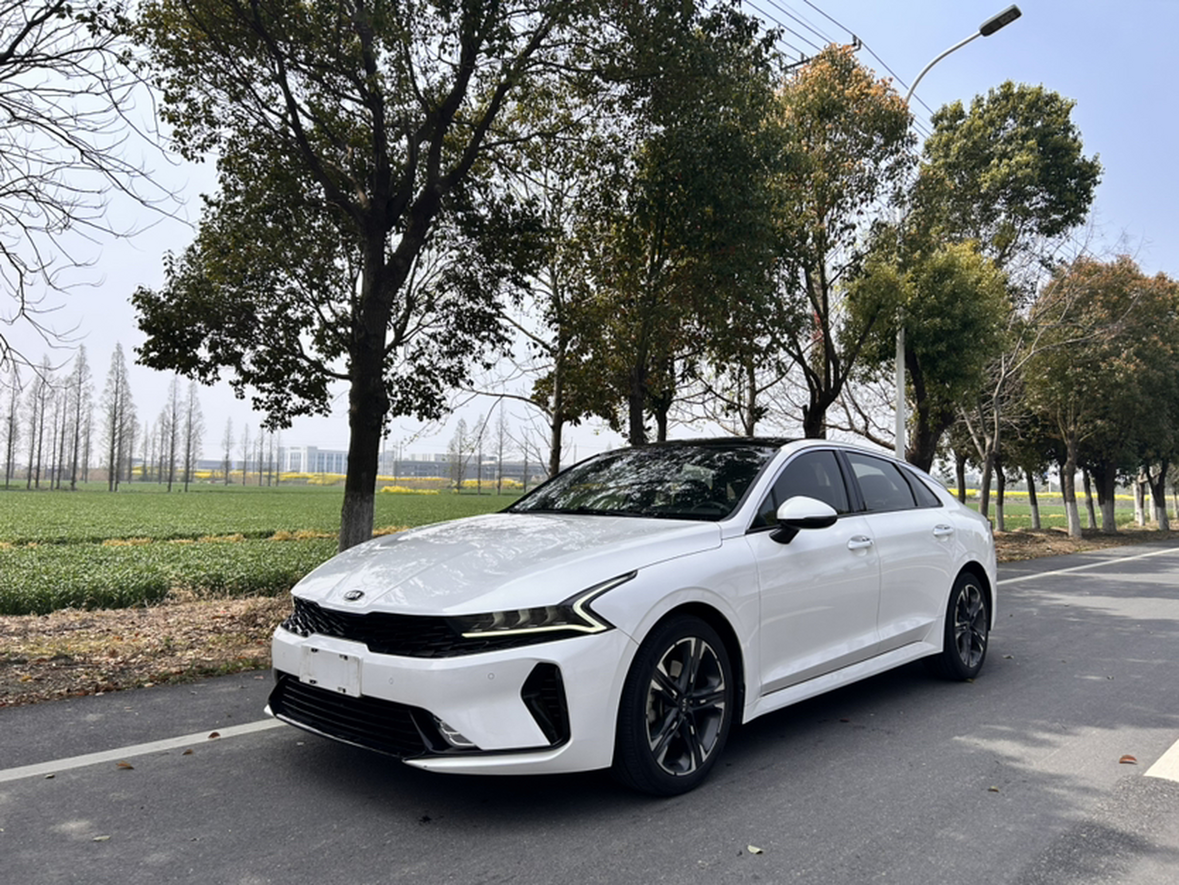 Under Front Bumper