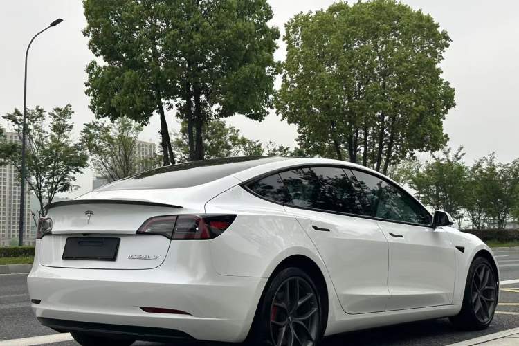 Used Tesla Model 3 2022 Performance High-Performance All-Wheel-Drive Version Exterior 6