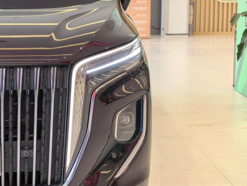 Hongqi HQ9 PHEV 2024 2.0T Four-Wheel Drive Business Edition — снимка 6