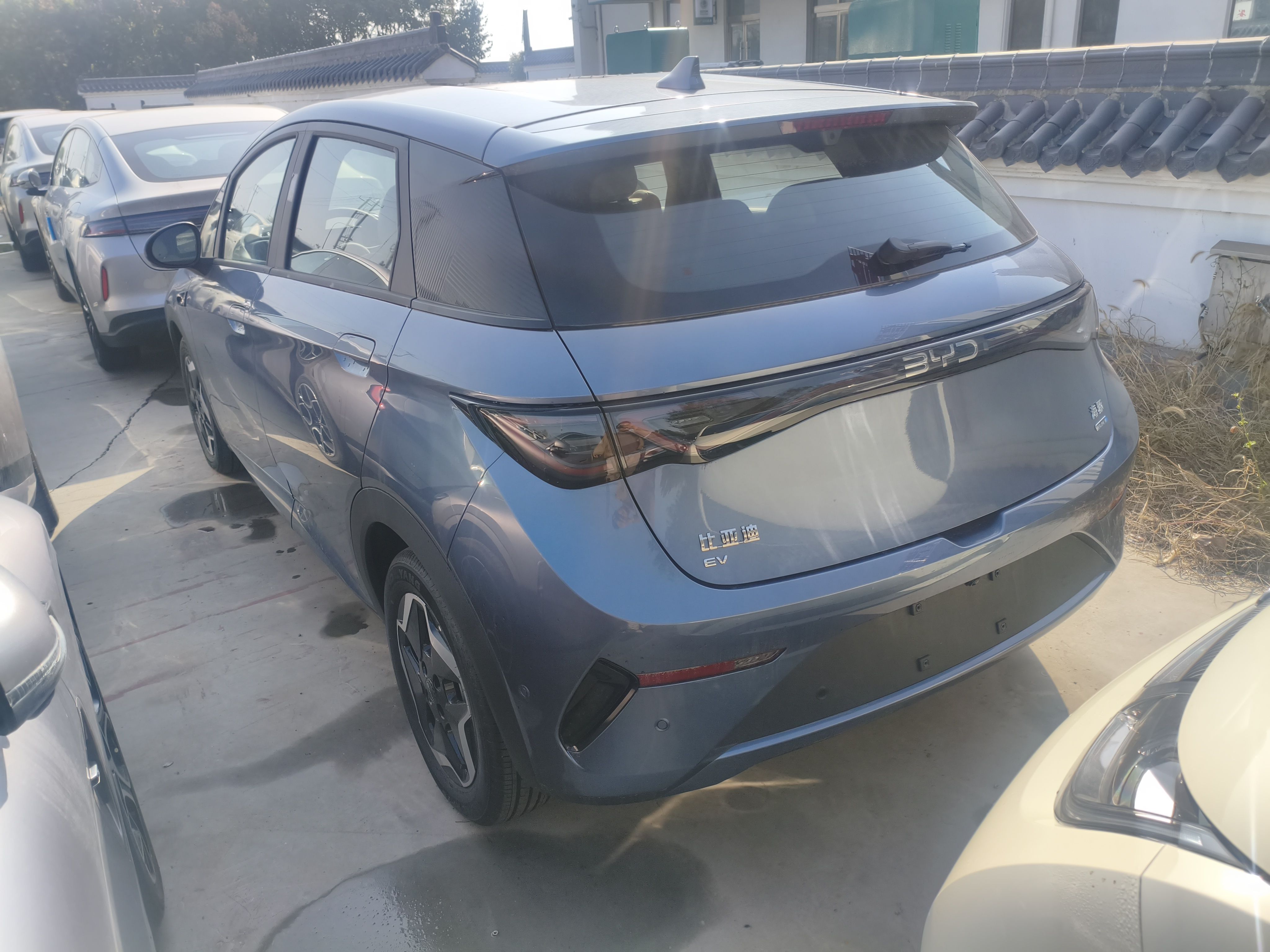 BYD Dolphin 2025 Smart Drive Version 420 km Freedom Edition — снимка 4