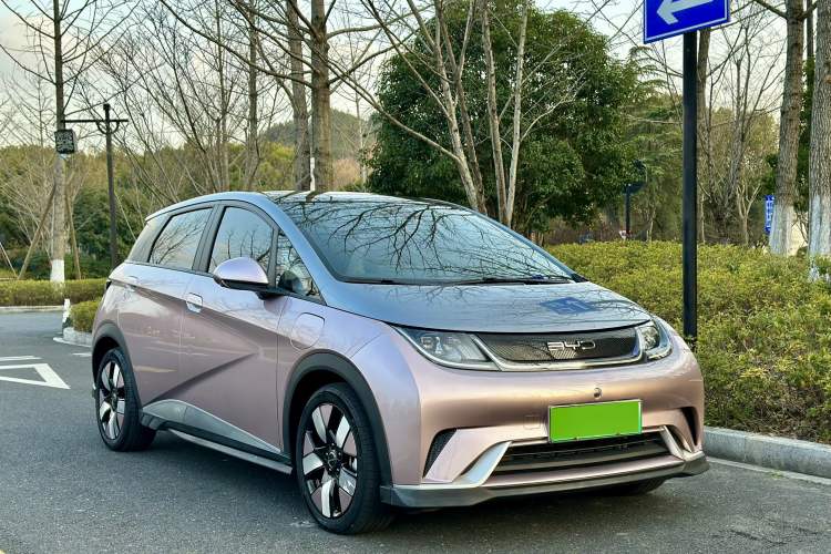 Used BYD Dolphin 2021 401km Knight Edition