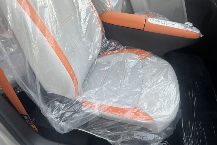 Used Qiyuan Lumin 2025 301km Honey Dew Edition
