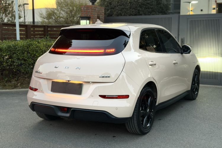 Used ORA Good Cat 2024 401 km Luxury Version