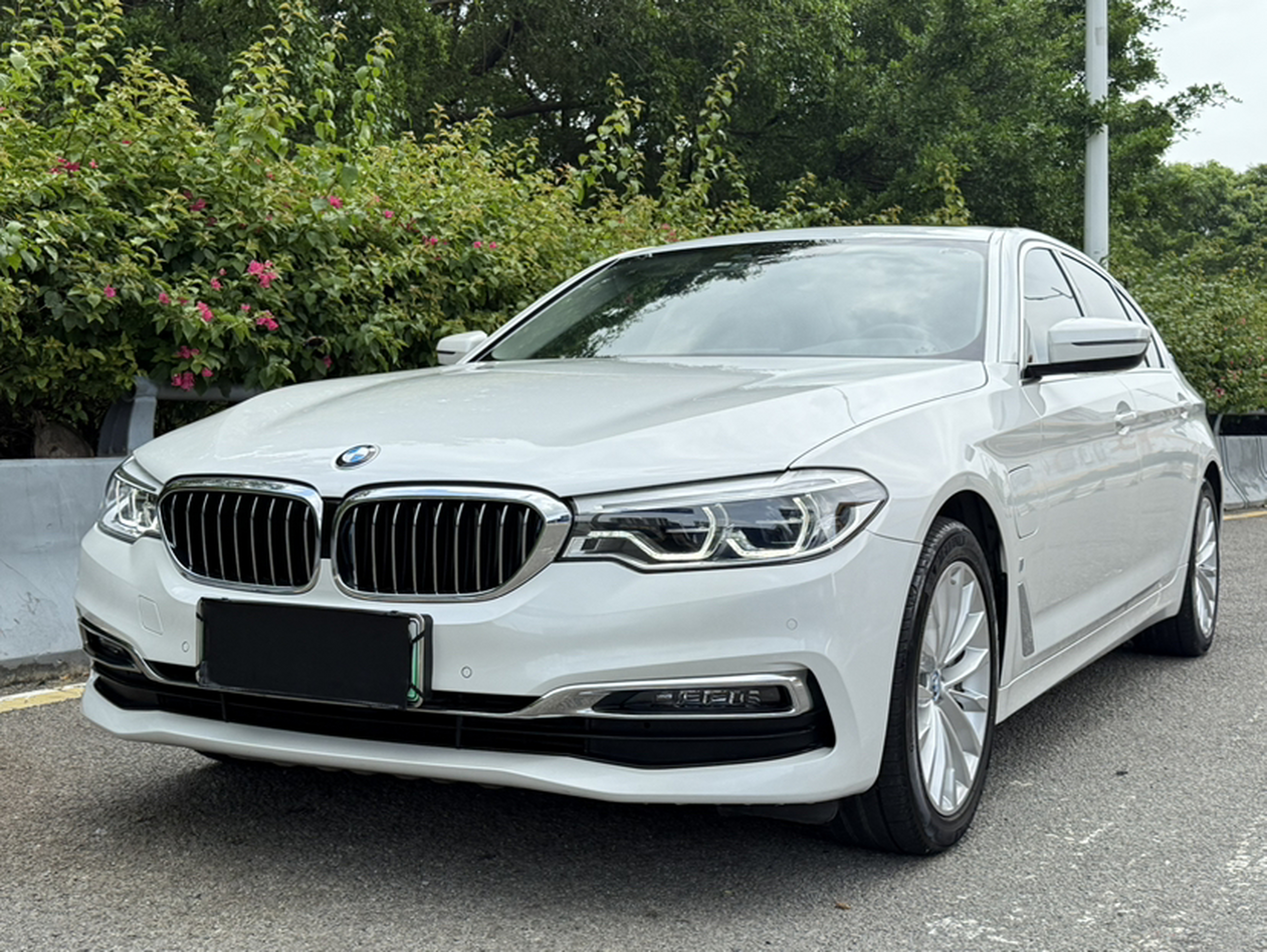Under Front Bumper