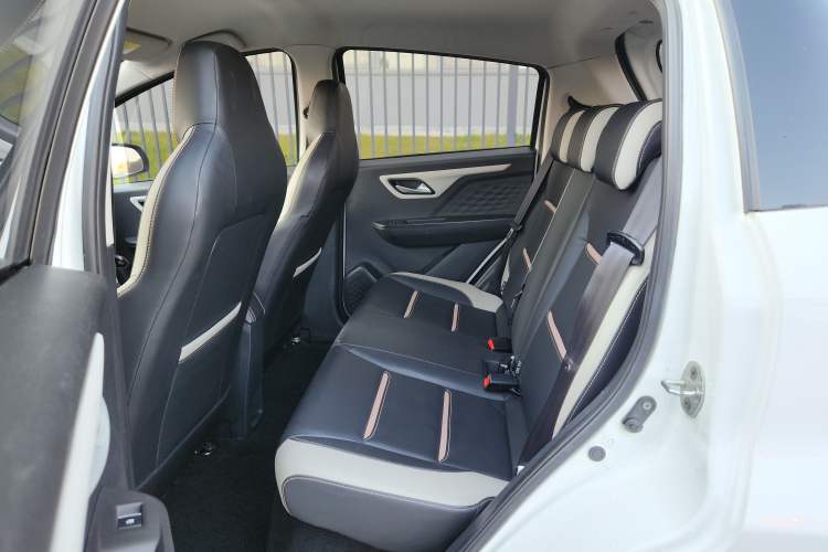 Used SOL E10X 2022 Flower Fairy Style Baby's Breath