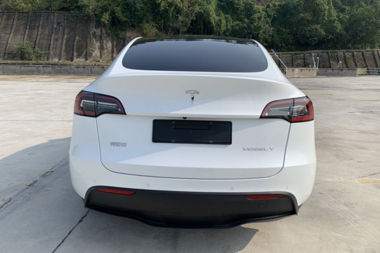 Used Tesla Model Y 2021 Long-Range All-Wheel-Drive Version 3D7
