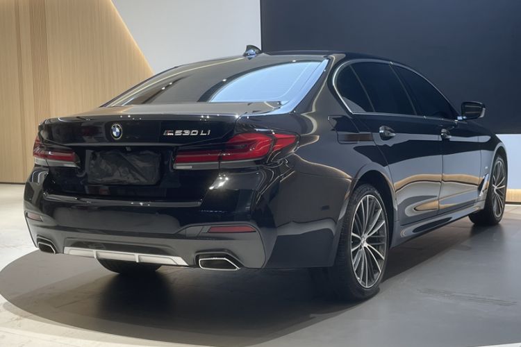 Used BMW 5 Series 2021 530Li Leading Model M Sport Package Exterior 10