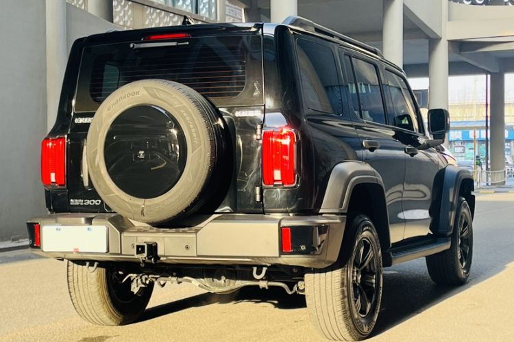 Used Tank 300 2024 2.0T Conqueror Exterior 5