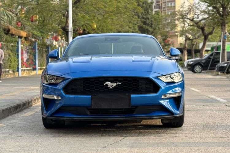 Used Ford Mustang 2019 2.3L EcoBoost
