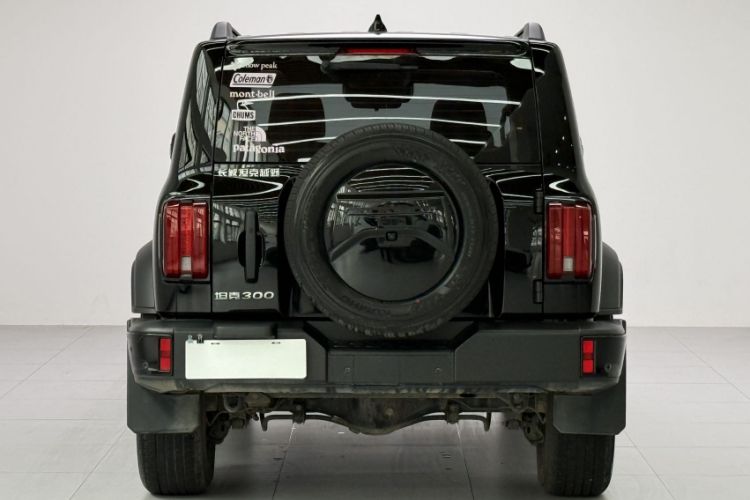 Used Tank 300 2024 2.0T Conqueror