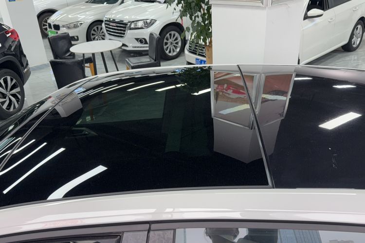 Used Volkswagen Polo 2019 Plus 1.5L Automatic Beats Trendy Cool Edition