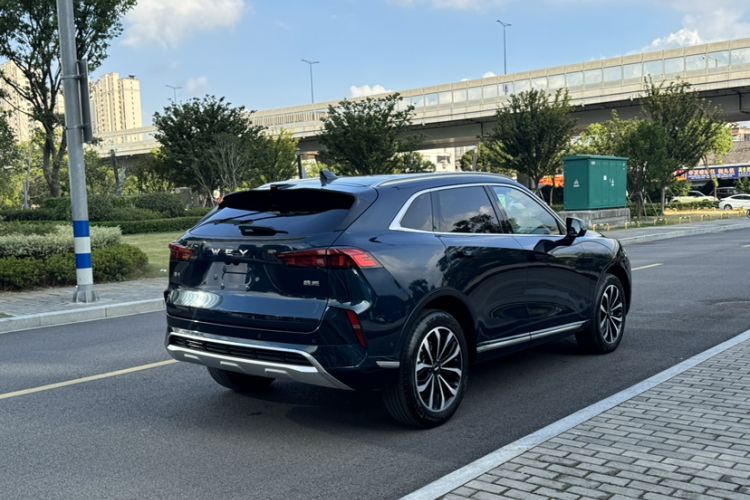 Used Wey Mocha 2021 2.0T Four-Wheel Drive Premium Edition