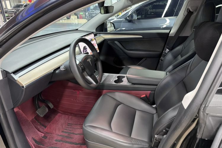 Used Tesla Model Y 2021 Standard Range Rear-Wheel Drive Version
