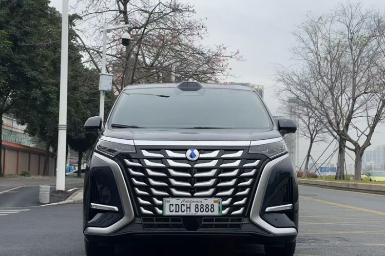 Used Denza D9 2025 DM-i Smart Drive 1020 Four-Wheel Drive Deluxe Model