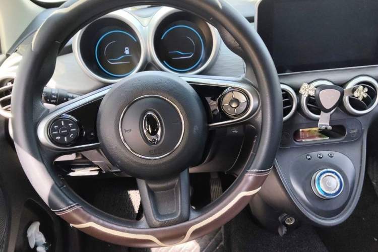 Used ORA Black Cat 2019 351 km Goddess Edition
