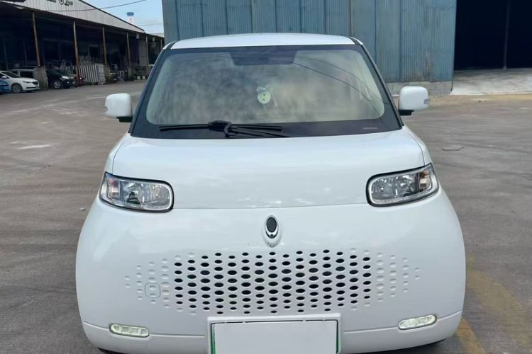 Used ORA White Cat 2020 305 km Luxury Version
