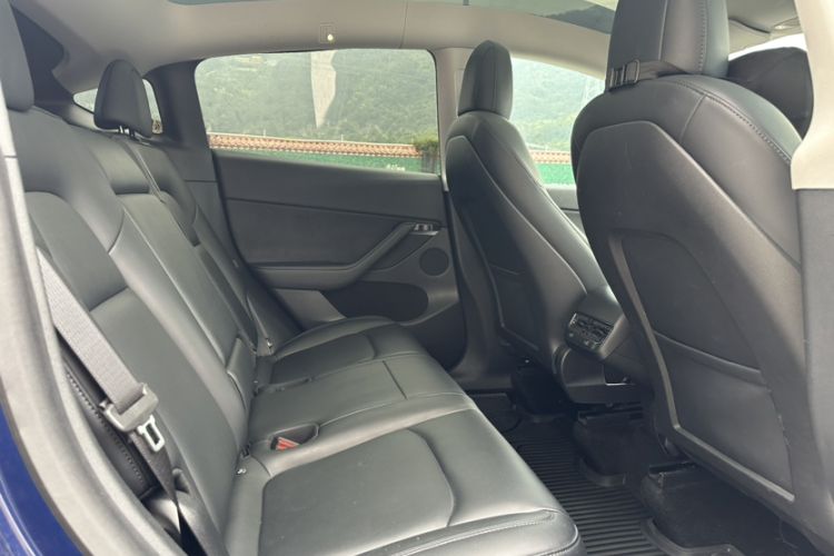 Used Tesla Model Y 2021 Standard Range Rear-Wheel Drive Version
