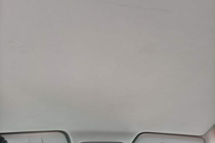 Used Dayun Yuehu 2022 30.66 kWh Two-Wheel Drive Standard Version
