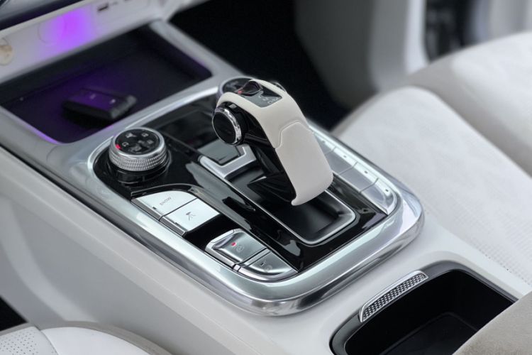 Used Cyberspace Tank 300 2021 2.0T Cyber Tank
