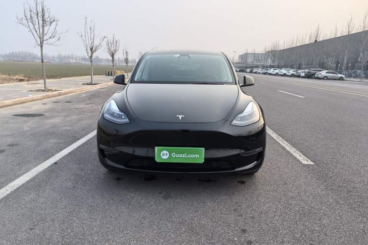 Used Tesla Model Y 2021 Standard Range Rear-Wheel Drive Version

