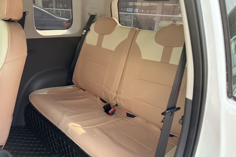 Used Qiyuan Lumin 2023 205km Xiangqin Version
